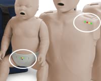 MCR PRESTAN CPR Manikin Bundle