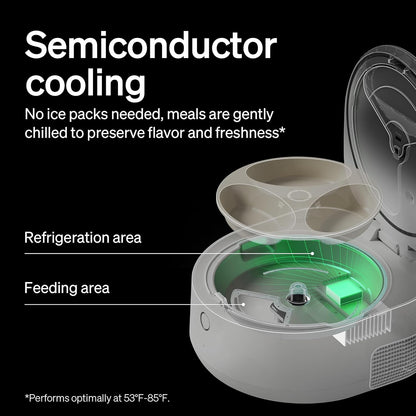 PETLIBRO Auto Cat Feeder