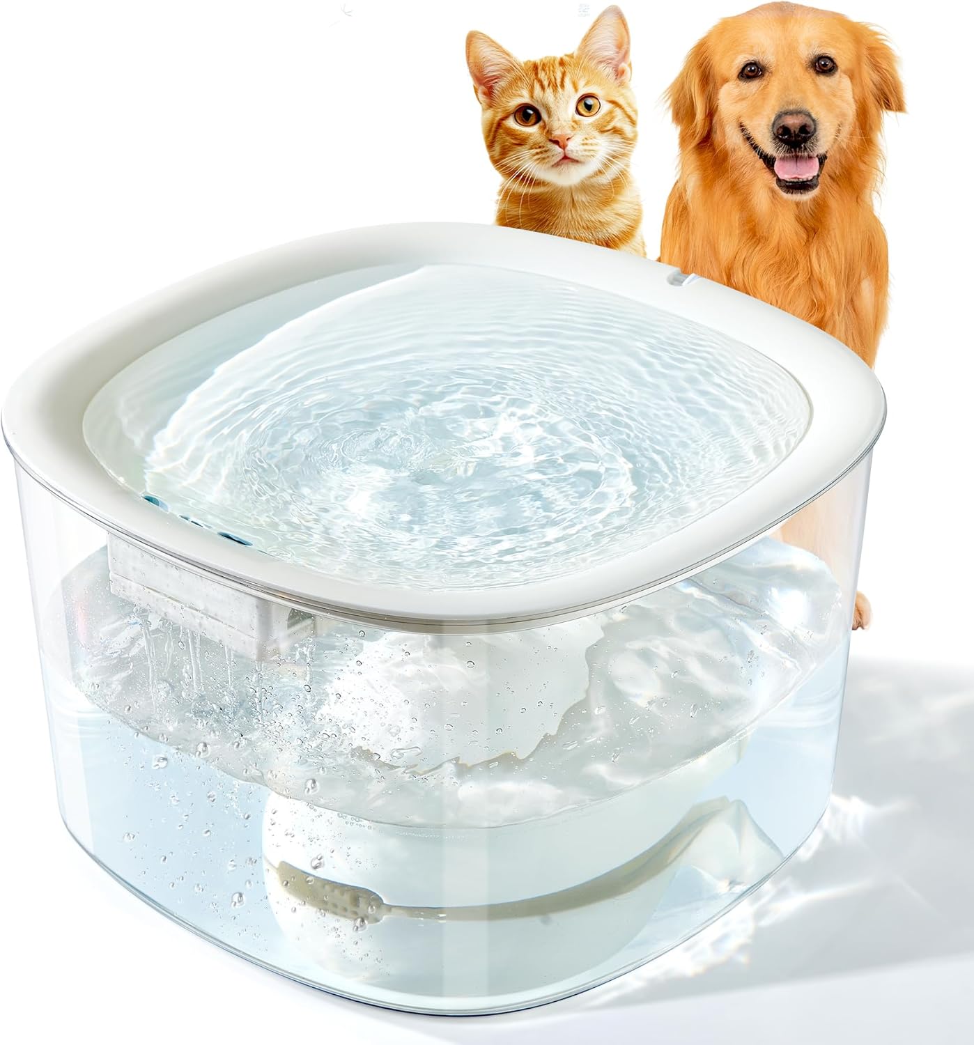 10L Automatic Dog Water Fountain