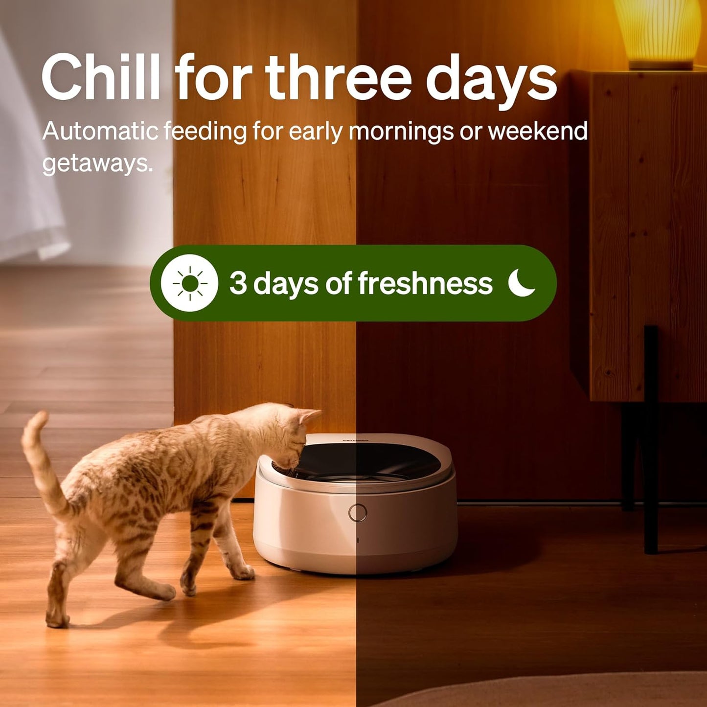 PETLIBRO Auto Cat Feeder