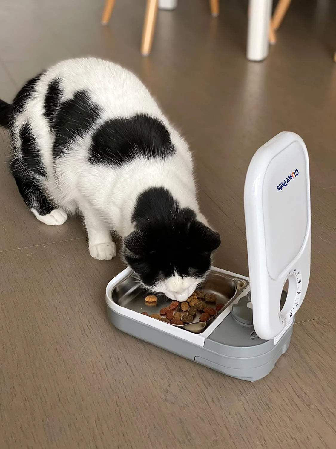 Closer Pets C200 2 Meal Timer-Controlled Automatic Pet Feeder - for Cats and Small Dogs, Wet or Dry Food, Stainless Steel Bowl Inserts and Ice Pack, up to 14 oz Each, White