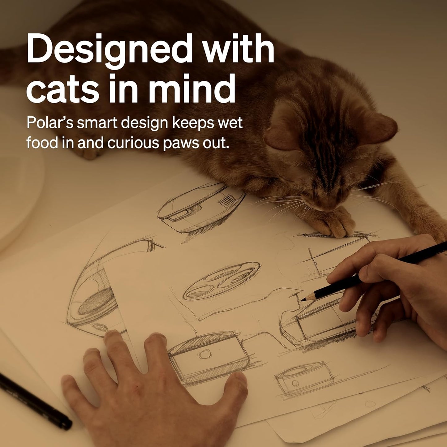 PETLIBRO Auto Cat Feeder