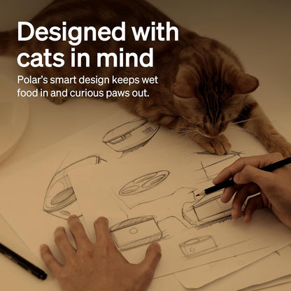 PETLIBRO Auto Cat Feeder