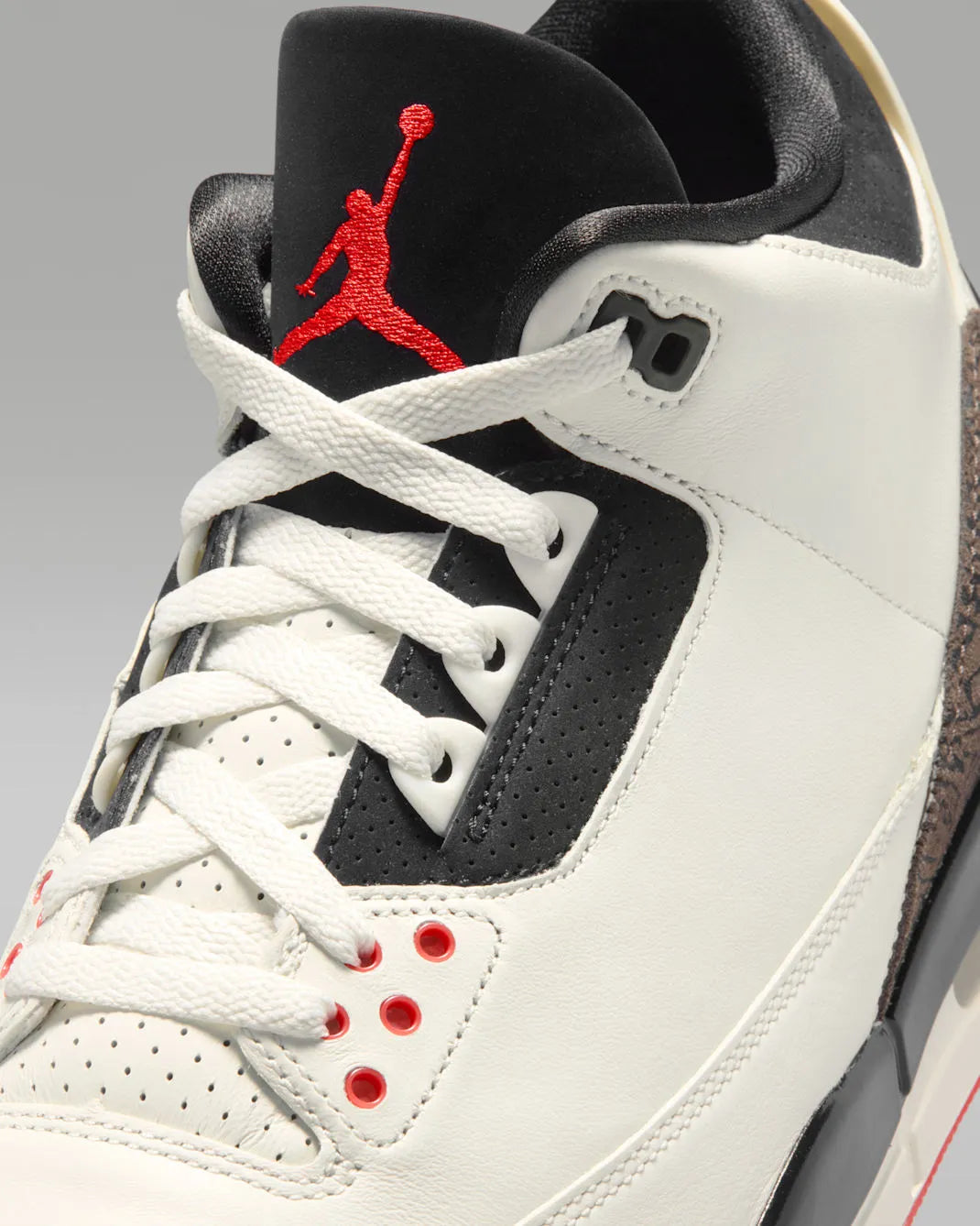 Air Jordan 3 "World's Best" Men's Shoes