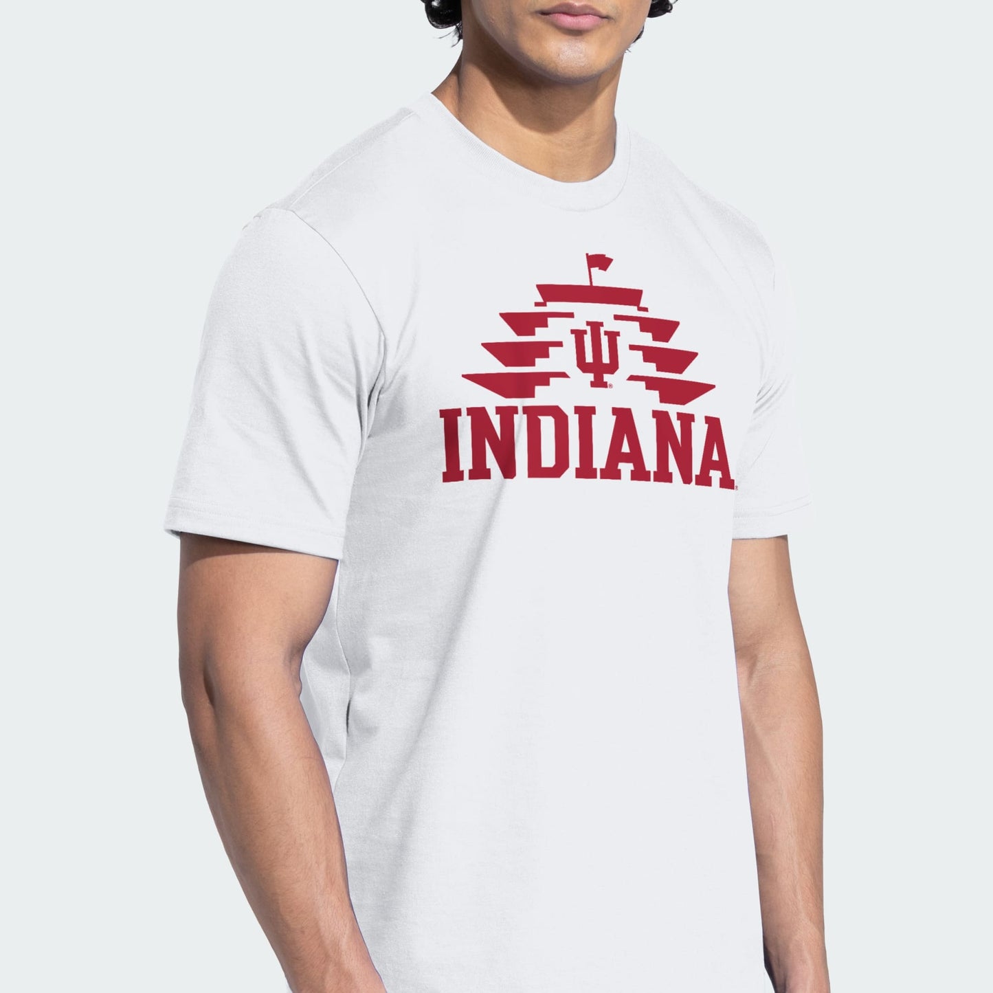 INDIANAPOLIS MOTOR SPEEDWAY x INDIANA HOOSIERS MENS TEE
